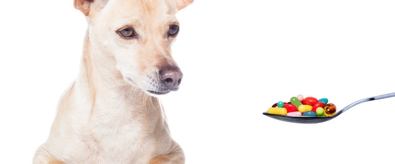 Is Buffered Aspirin Safe For Dogs