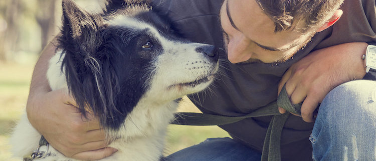 Foundation Training. The building blocks to your Dogs Life