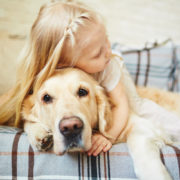 When To Say Goodbye to Your Dog