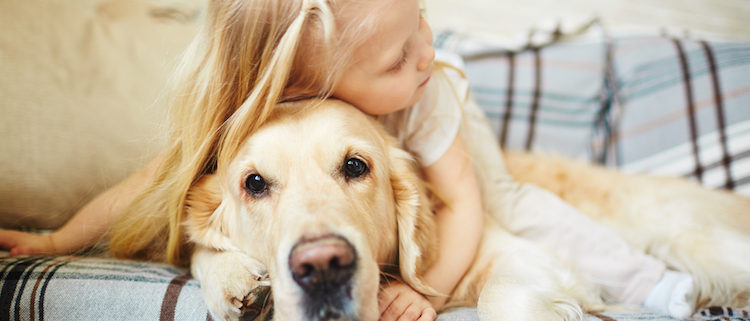 When To Say Goodbye to Your Dog