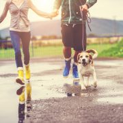 Why Walking Your Dog is Great Exercise Why Walking Your Dog is Great Exercise