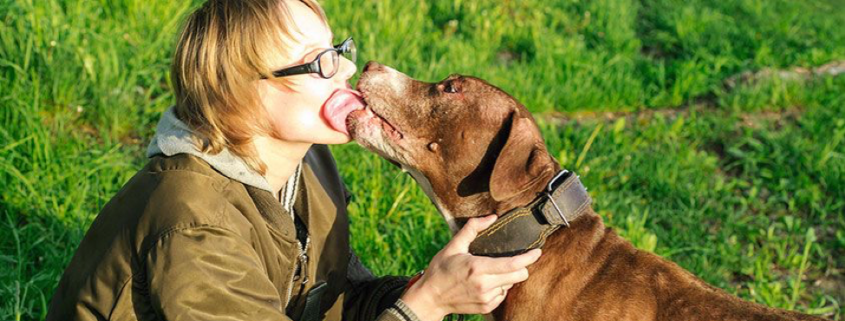 Why do dogs lick?