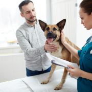 8 Secrets to stress free vet visits