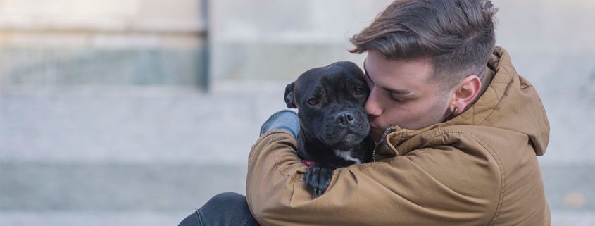 Ways Pets Support Mental Health