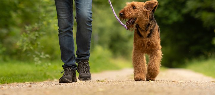 Leash clearance pressure training