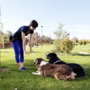 How to Establish Leadership Over a Dog, Without Being a Meanie Pants