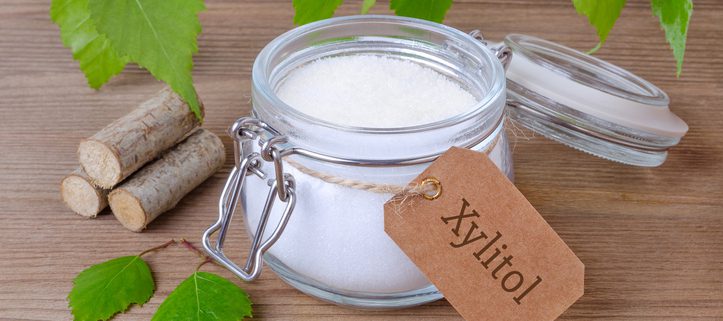 Xylitol, the Deadly Sweetener Capable of Killing Your Dog Within 24 Hours