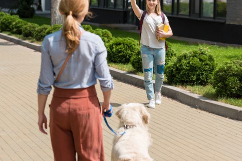 Stranger Danger’ Reduce Your Dog’s Anxiety When Meeting People