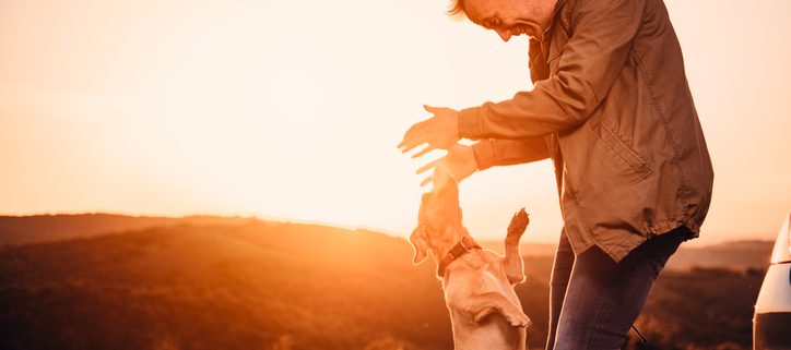 What Is the Best Way to Greet Your Dog