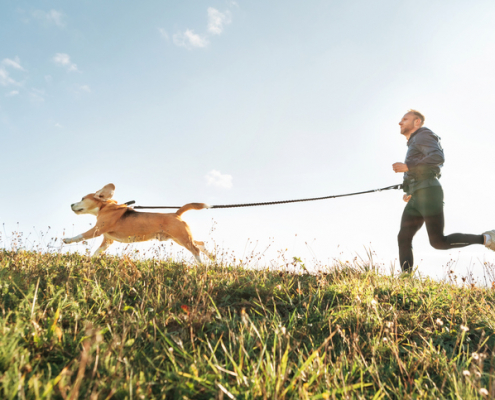 Taking Your Dog for a Run!