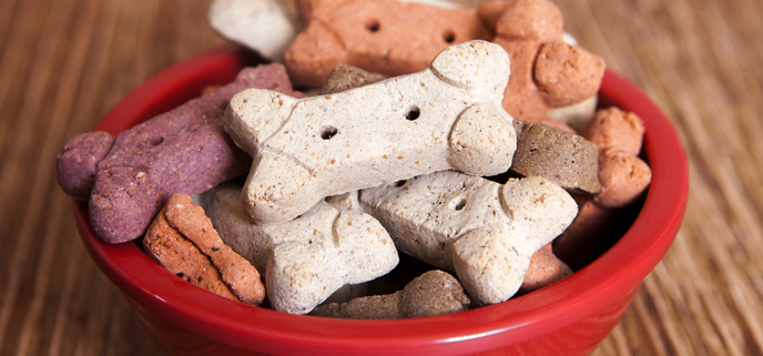 Tuesday’s Treat Cheesy Bone Treats