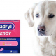 Benadryl for Dogs