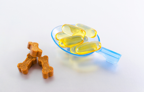 Fish Oil for Dogs A True Benefit!