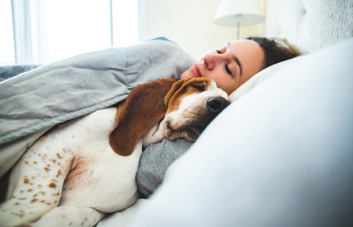 Sleeping with Your Dog The Benefits