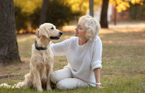 Lowering Your Risk of Dying Early by Owning a Dog