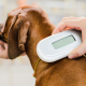 Microchipping Your Dog