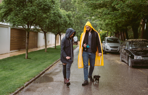 Rainy Days with Your Pup!