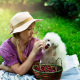 Have a Safe and Fun Picnic with Your Pup!