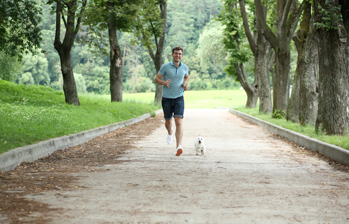 Running a 5k With Your Dog