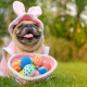 Celebrating Easter with Your Pup!