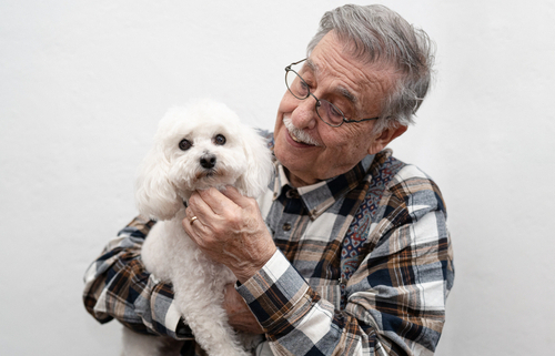 Best Dog Breeds for Senior Citizens