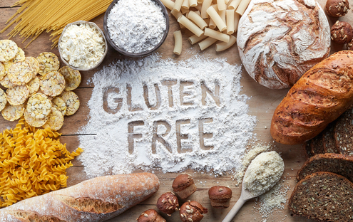 Gluten-Free Diets for Dogs – What You Need to Know 