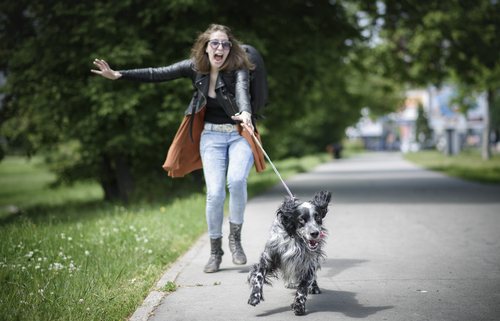 Training Tip Not Switching Sides While Walking on the Leash