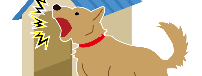 Training Tip Interpreting Dog Barks and Noise 