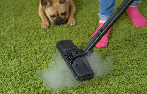 Getting Rid of Urine Smell from Carpets 