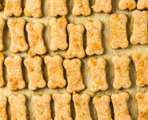 Tuesday’s Treat Cheesy Bones