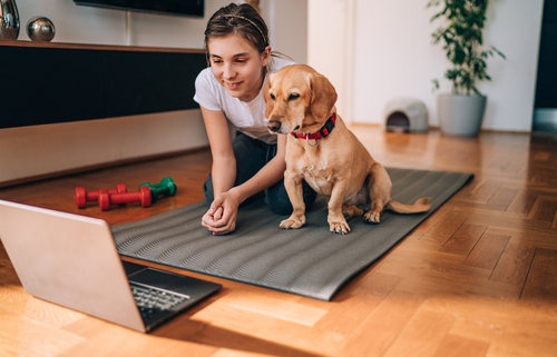 Online Dog Training – Pros & Cons 