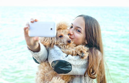 Creating an Instragram Page for Your Dog! 