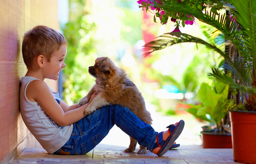 How to Talk to Your Dog – Scientifically Proven!  