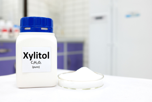 The Danger of Xylitol in Dogs 