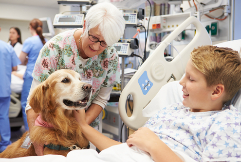 Training Tips Therapy Dogs 