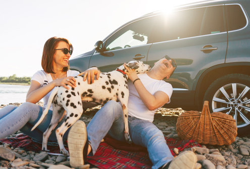 Getting Creative with Your Dog! 