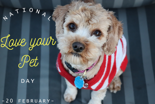 National Love Your Pet Day – February 20th, 2022 