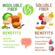 Types of Fiber for Dogs