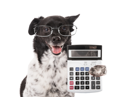 Dog Ownership – Budgeting Tips