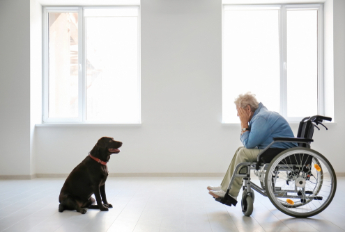 How Service Dogs Treat Anxiety & Depression 