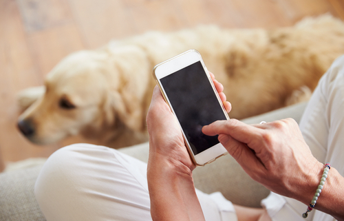 Your Dog May be Jealous of Your Cell Phone! 