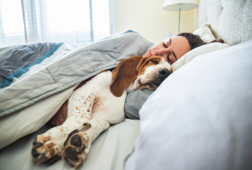 Benefits of Sleeping with Your Dog 