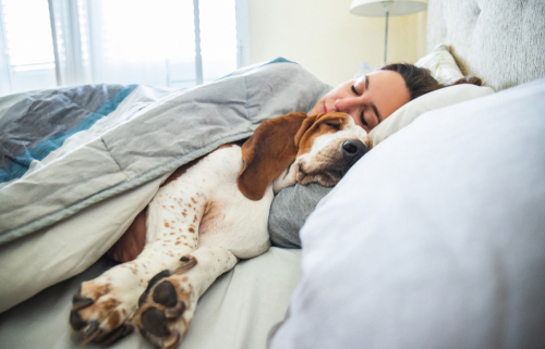 Benefits of Sleeping with Your Dog 