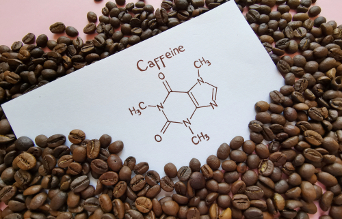 Caffeine Toxicity in Dogs 