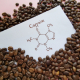 Caffeine Toxicity in Dogs 