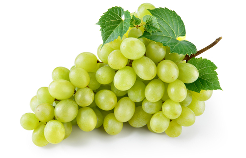 Dogs & Grapes – What You Need to Know 