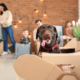 Helping Dogs Adjust to a New Home