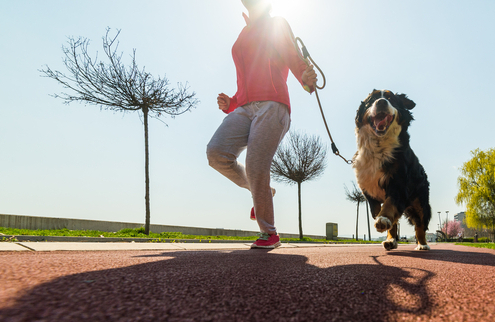 How to Run a 5k with Your Dog 