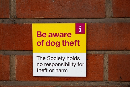 Keeping Your Dog Safe from Theft 