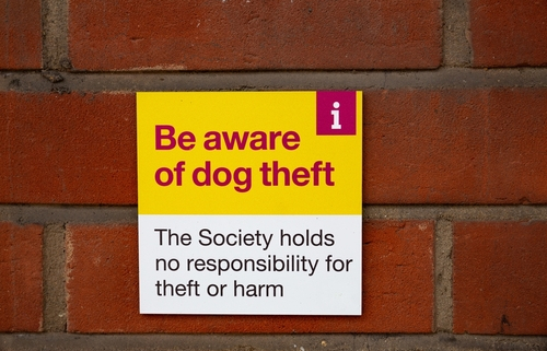 Keeping Your Dog Safe from Theft 